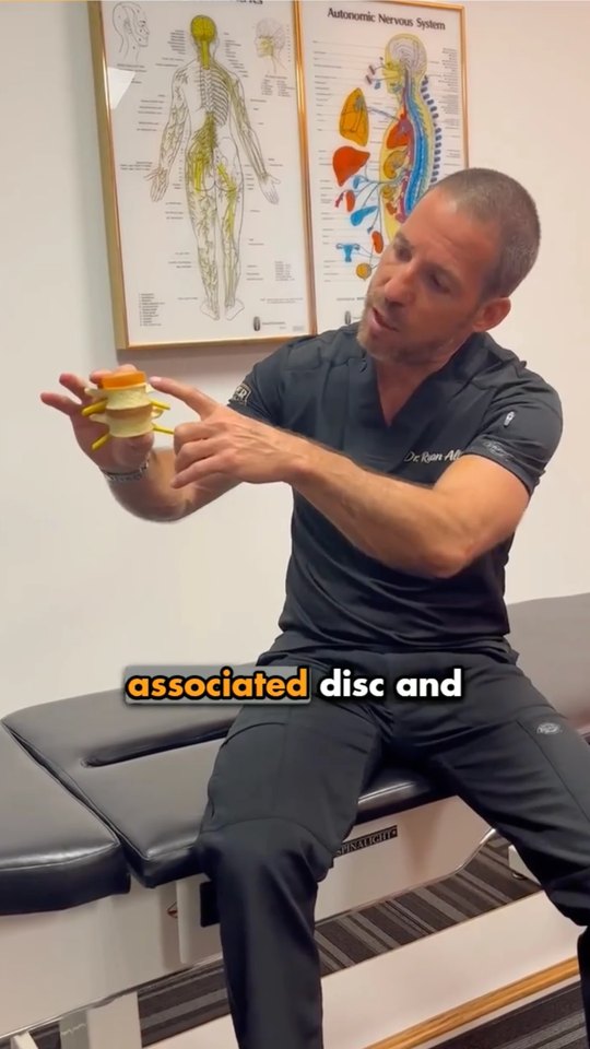Alter Chiropractic Facebook video ad: Using a spine model