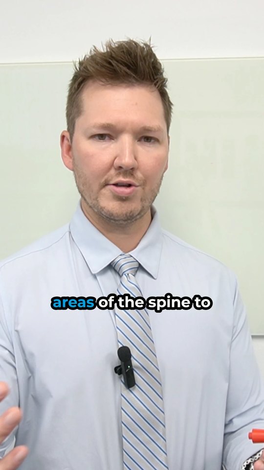 Optimal Chiropractic Facebook video ad: Explaining areas of the spine