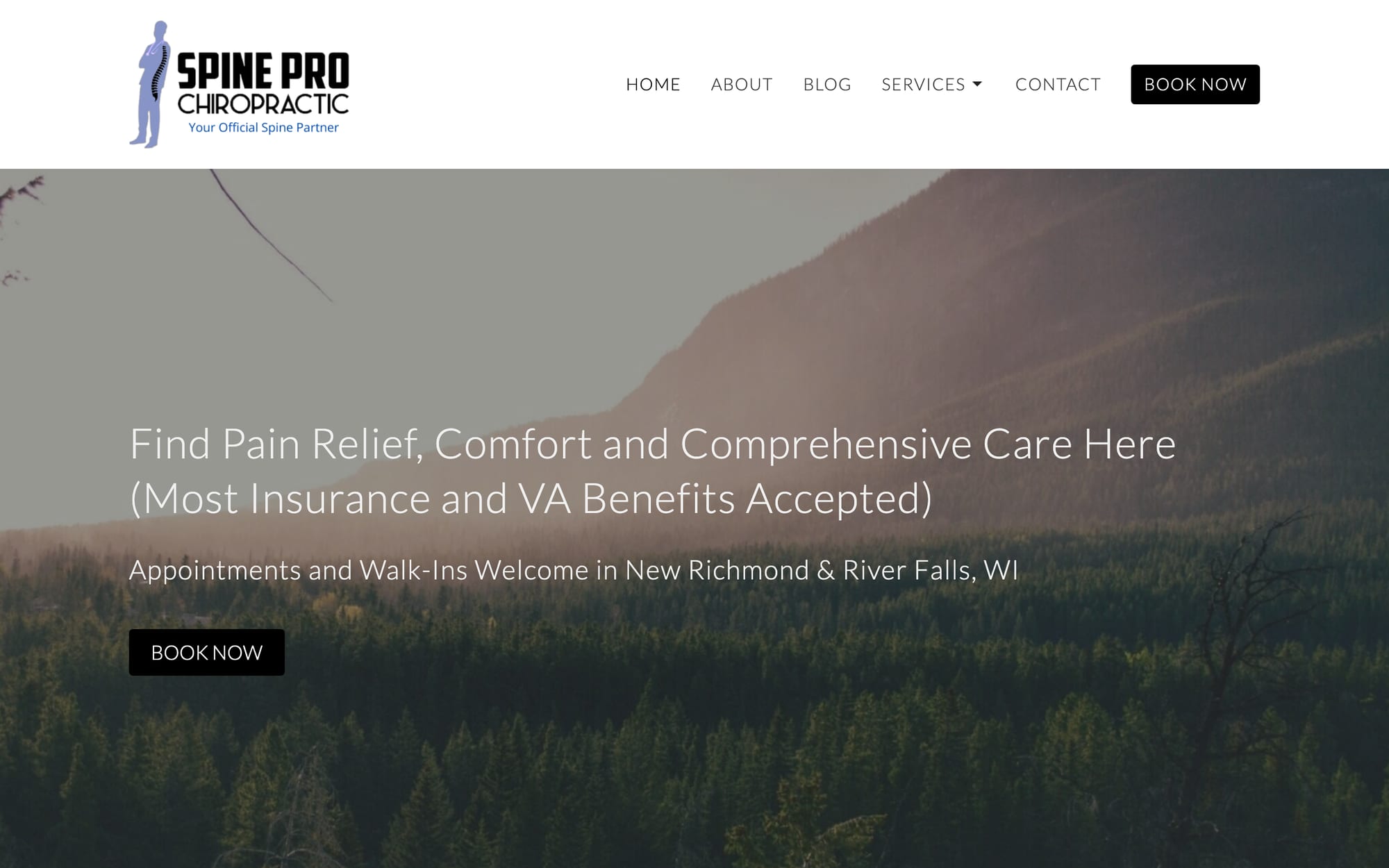 Spine Pro Chiropractic website built by CHIROBASIX